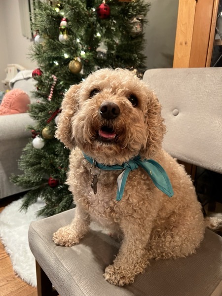 Noodle Throwback – New Year’s Eve ’22