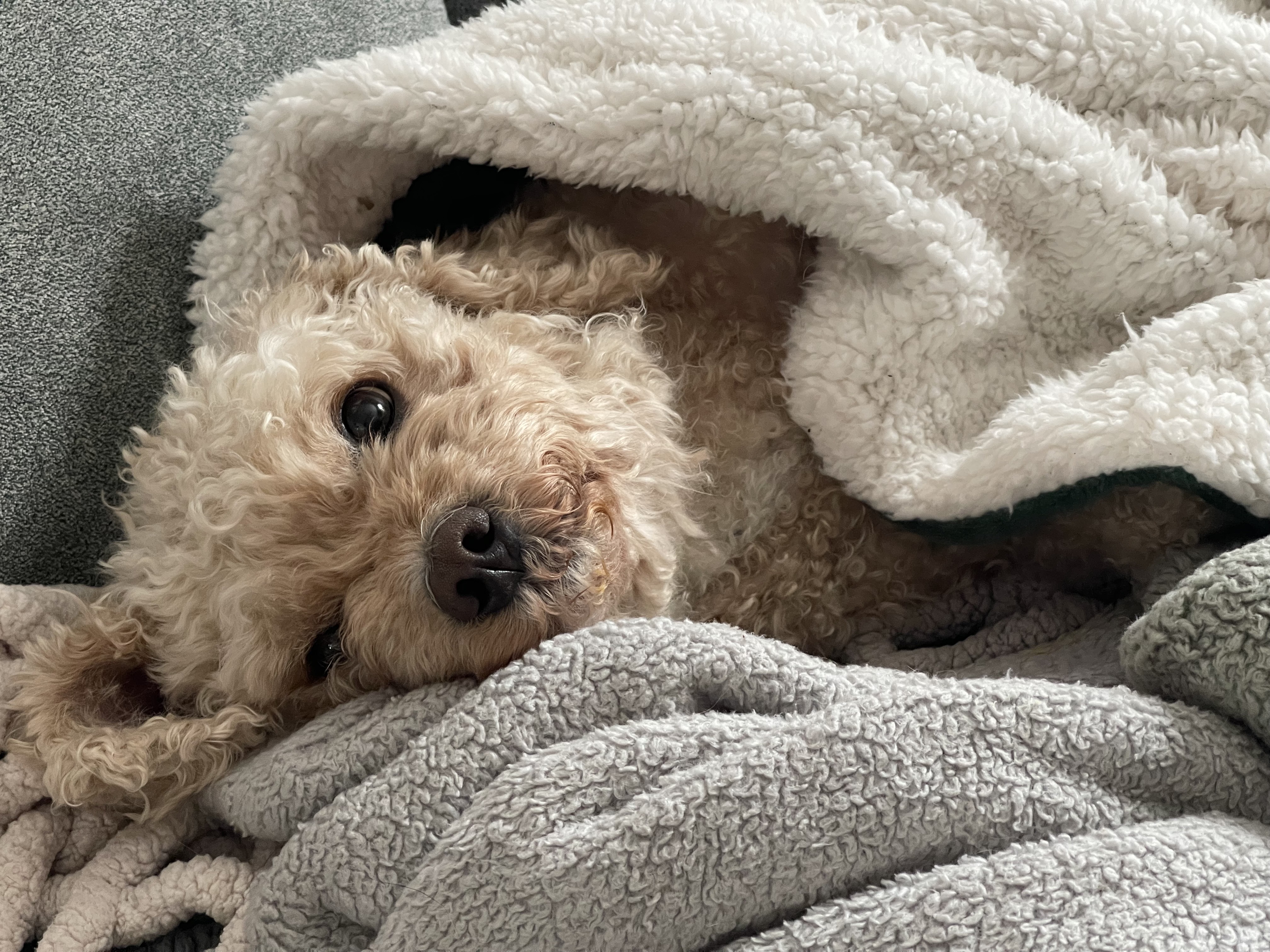 lil rigs in a BLIZZARD world